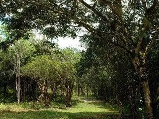 Galpão à venda, no bairro Jardim Paranaguá em Paranaguá