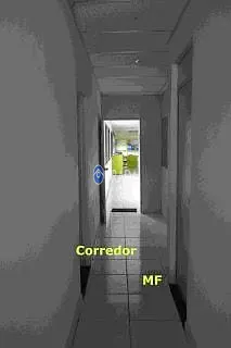 Depósito-Galpão, 5665 m² - Foto 6