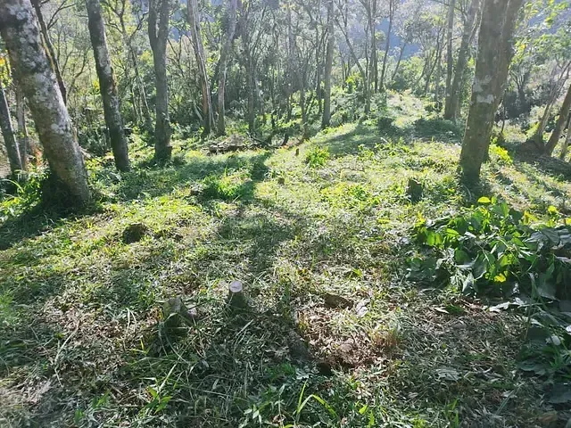 Galpão à venda, no bairro Centro em Balsa Nova