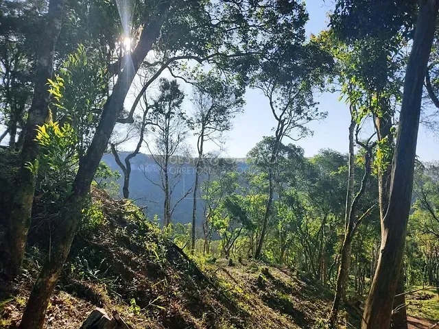 Galpão à venda, no bairro Centro em Balsa Nova