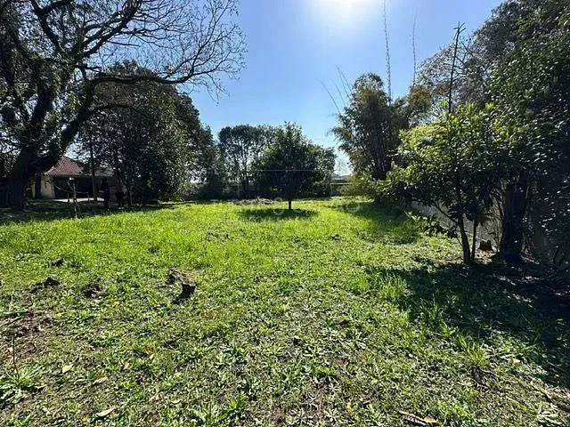 Galpão à venda, no bairro Roseira em São José Dos Pinhais