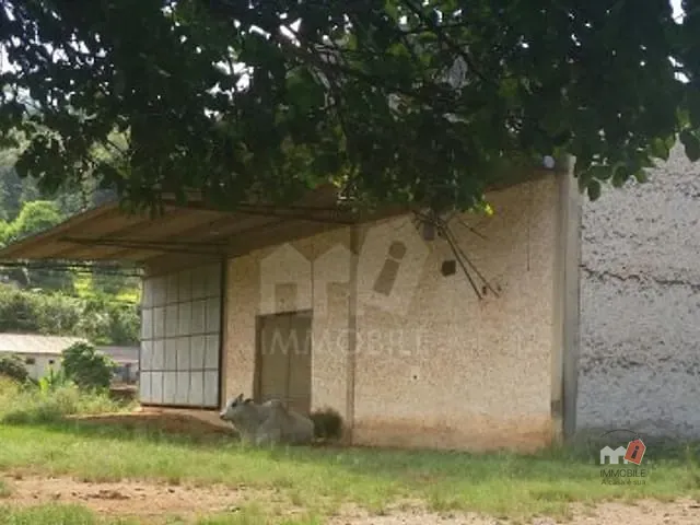 Galpão / Barracão à venda, no bairro Araras em Petrópolis