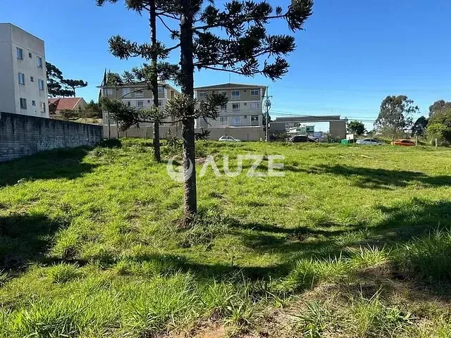 Galpão à venda, no bairro Jardim Amelia em Pinhais