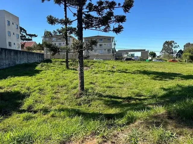 Galpão à venda, no bairro Jardim Amelia em Pinhais