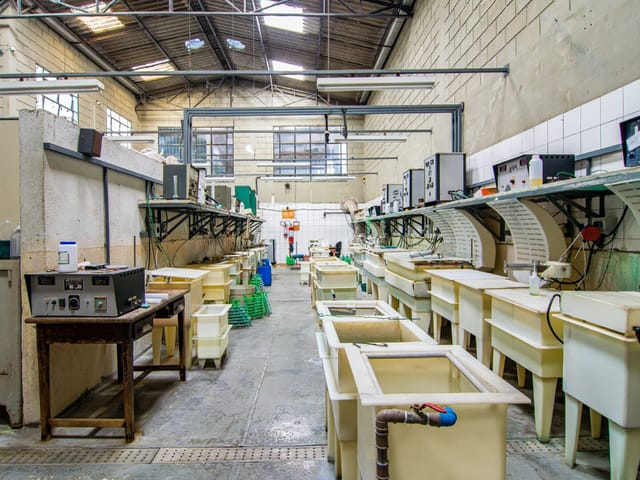 Foto do Galpão - Galpão comercial para venda em Várzea de Baixo, 384m² | Lares e Andares Imóveis