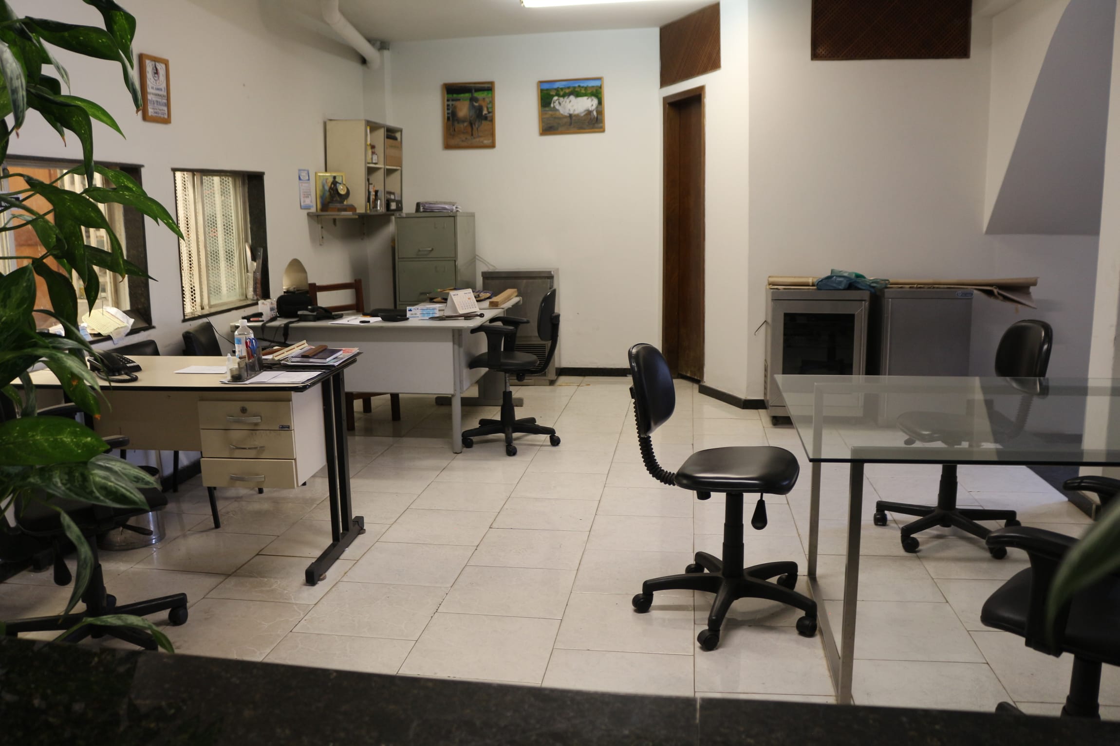 Galpão com 480 m² de vão livre, 4 banhos, 100 metros de escritório, com 3 portas de aço, pé direito duplo, à venda, Caiçaras, Belo Horizonte, MG miniatura 14