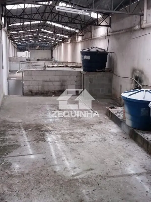 Depósito-Galpão, 503 m² - Foto 3