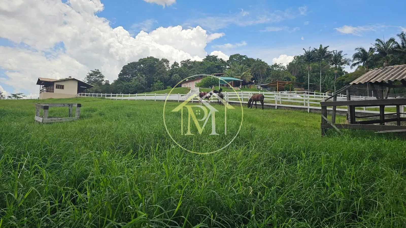 Fazenda, 19 hectares - Foto 17