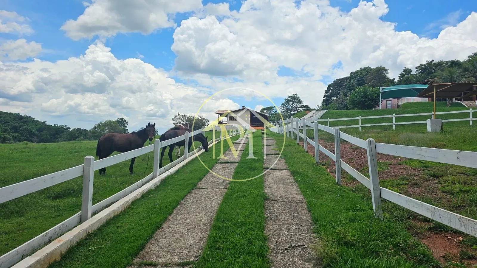 Fazenda, 19 hectares - Foto 21