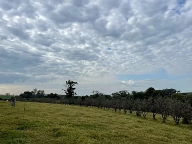 Foto do Haras - Haras à venda, 2 Alqueires - Zona Rural de  Rolândia, PR | Grupo Mitral Imóveis