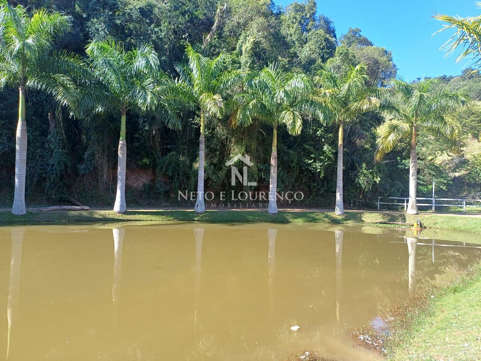 Sítio à venda com 4 quartos, 10m² - Foto 22