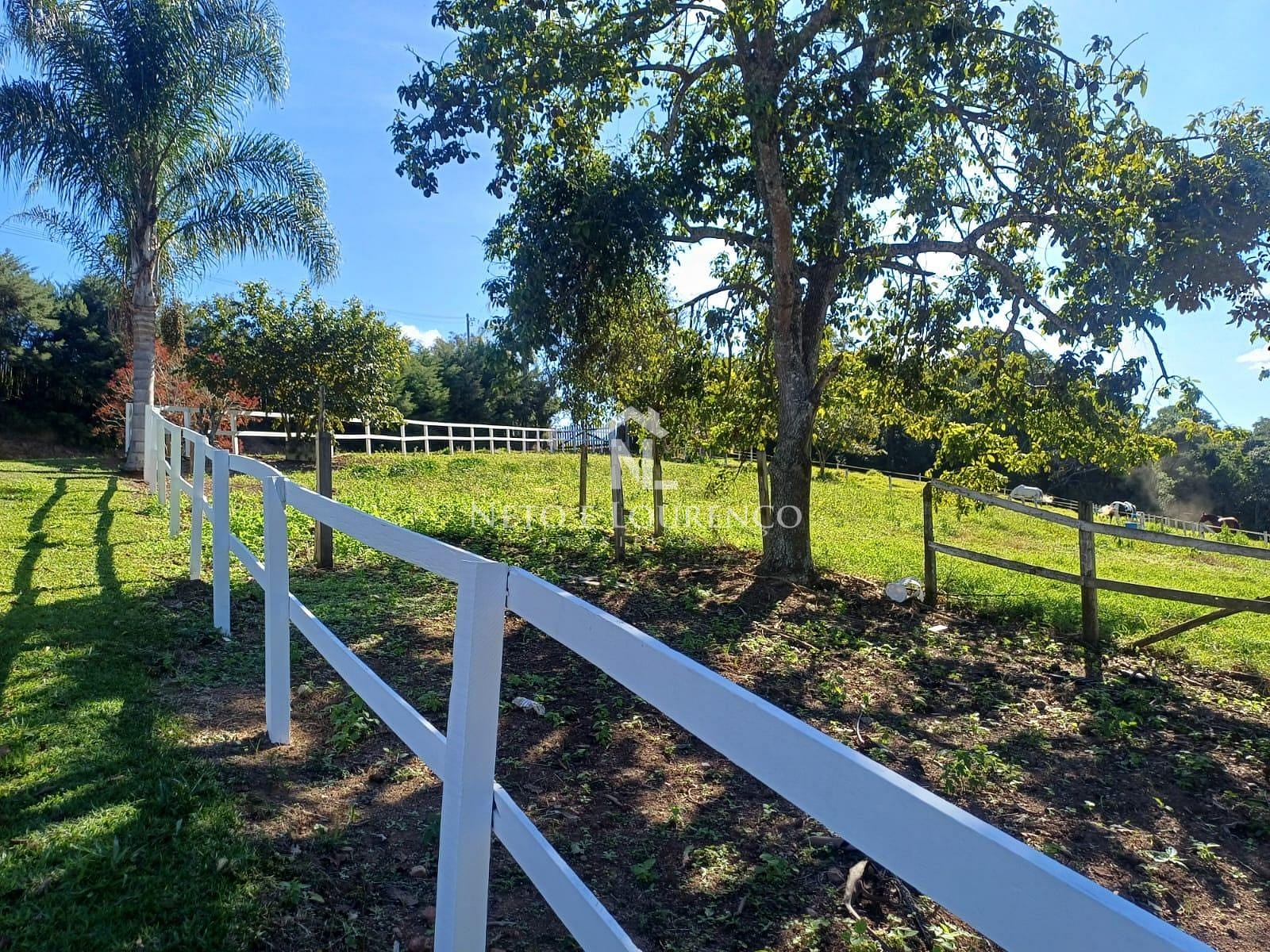 Sítio à venda com 4 quartos, 10m² - Foto 41