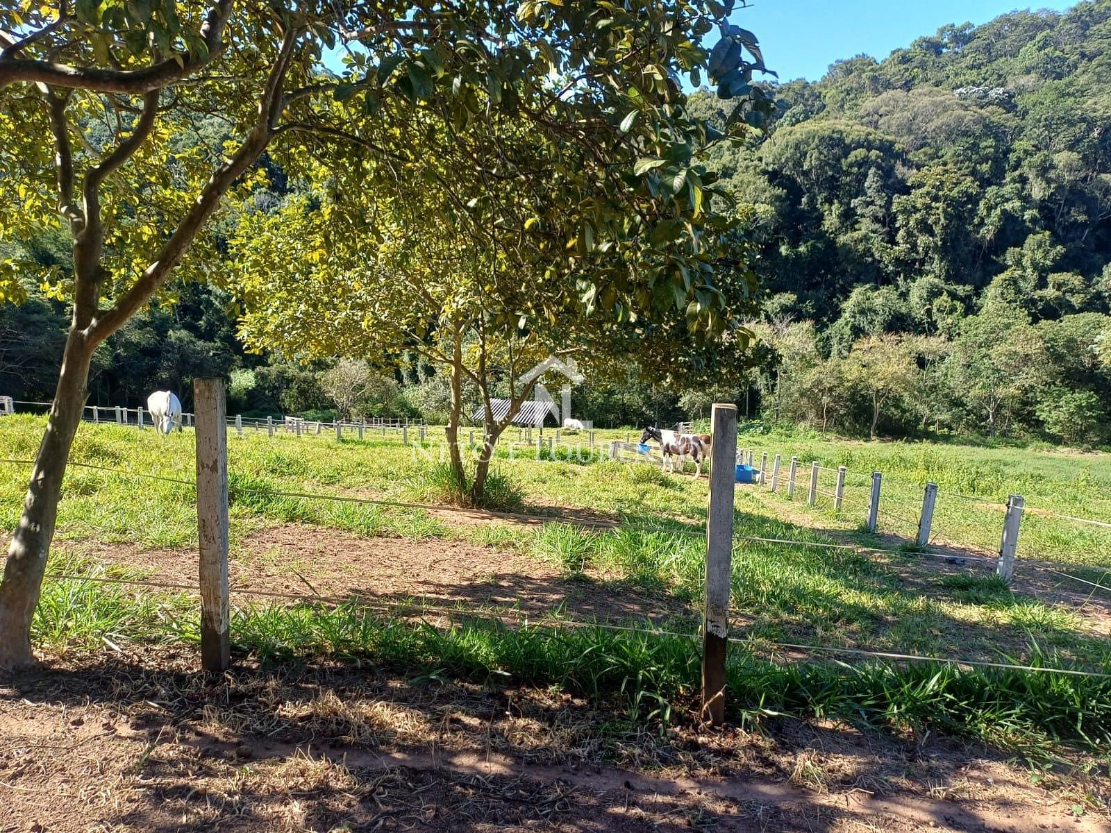 Sítio à venda com 4 quartos, 10m² - Foto 64