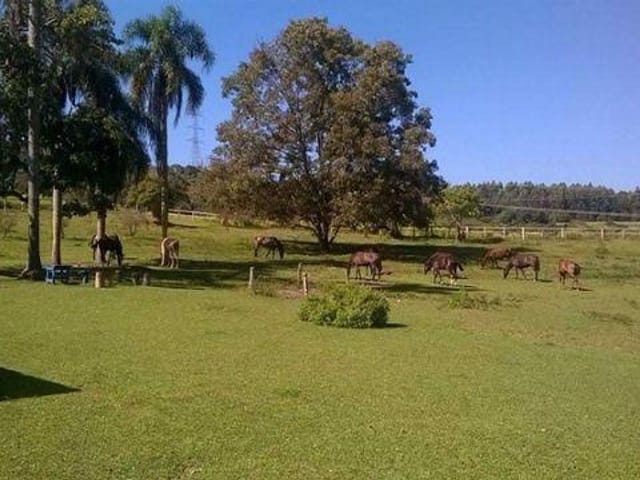 Foto do Haras - Haras à venda 169000M², Douradinho, Piedade - SP | Ary Proenca Negócios Imobiliários Ltda