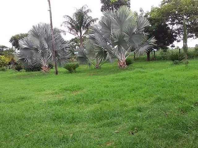 Haras com 1272m², à venda, no bairro Centro em Augusto de Lima