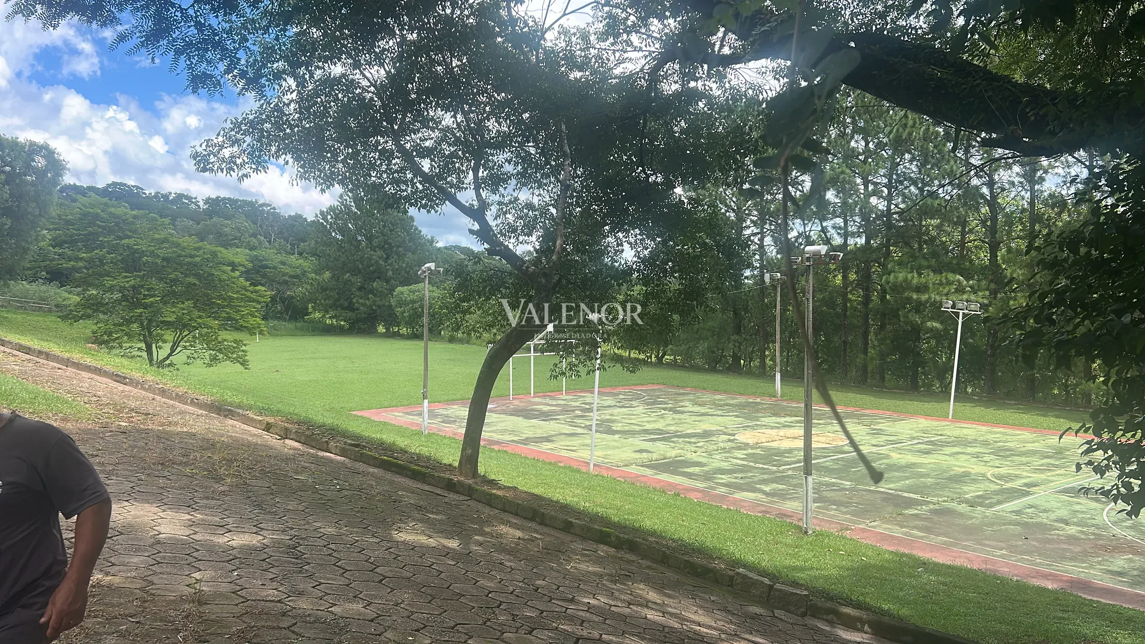 Fazenda, 26 hectares - Foto 23