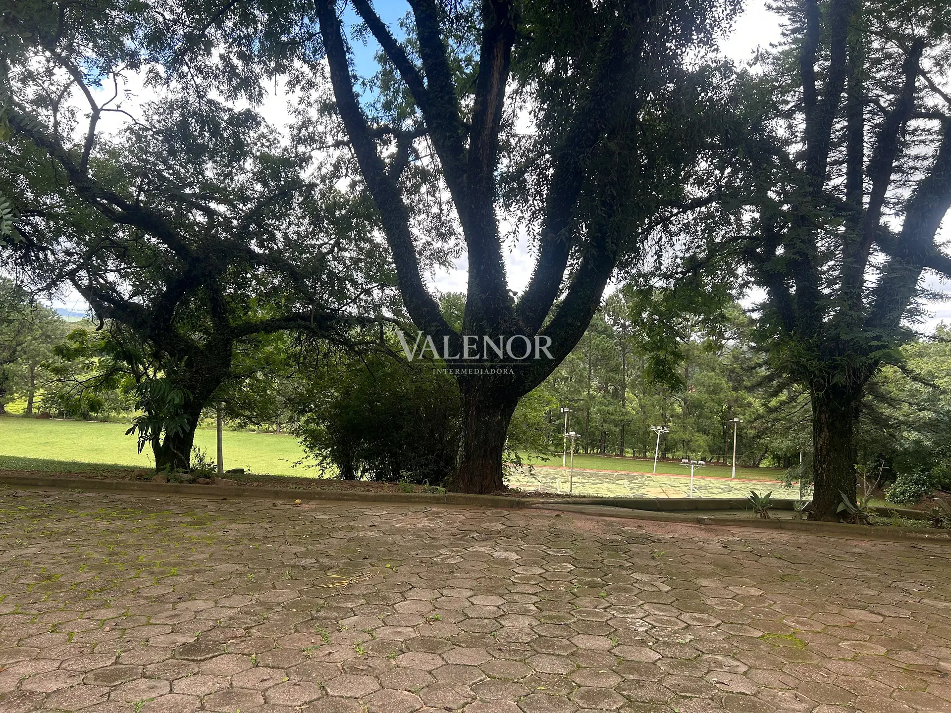 Fazenda, 26 hectares - Foto 57