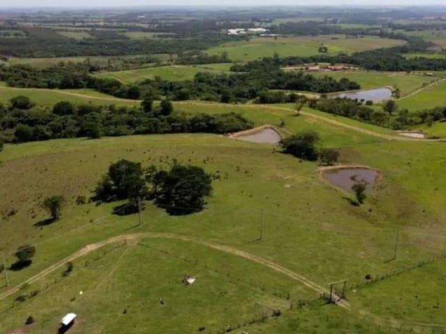 Haras com 798600m² 8 quartos e 9 banheiros, à venda, no bairro Campininha em Quadra