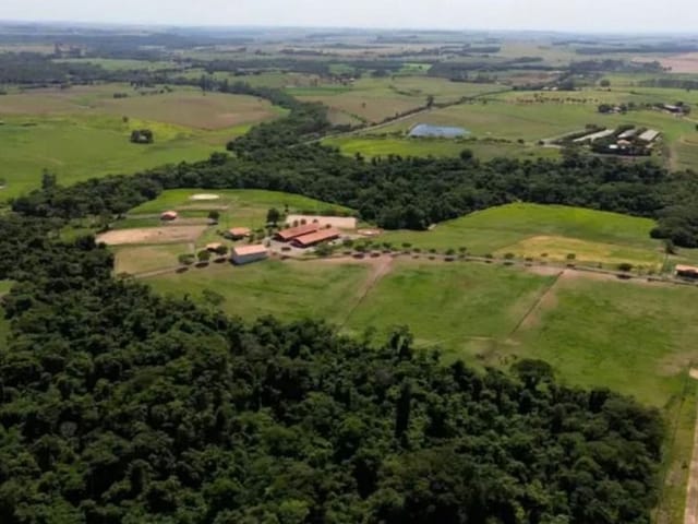 Haras com 798600m² 8 quartos e 9 banheiros, à venda, no bairro Campininha em Quadra