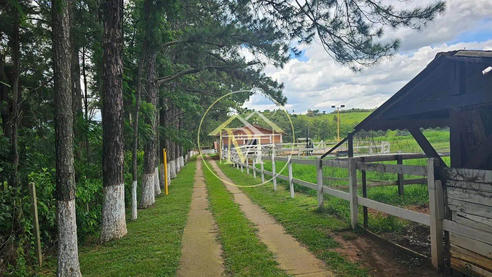 Chácara, 3 quartos, 3 hectares - Foto 19