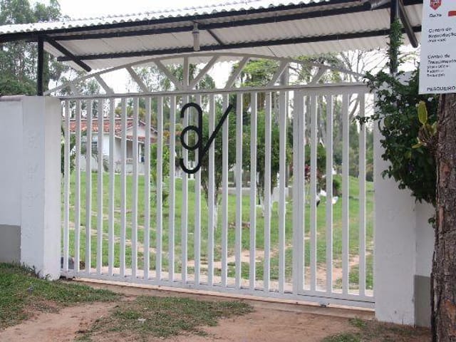 Foto do Haras - Haras rural à venda, Dos Cocais, Sarapuí. | Ary Proenca Negócios Imobiliários Ltda