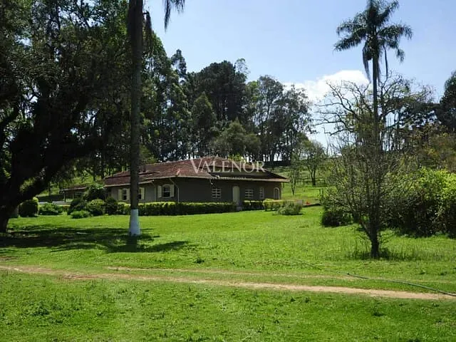 Haras com 168000m² 4 quartos e 4 banheiros, à venda, no bairro Centro em Piedade