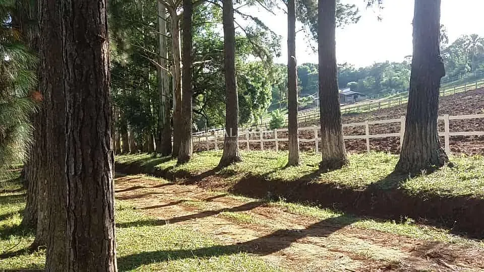 Fazenda, 17 hectares - Foto 20