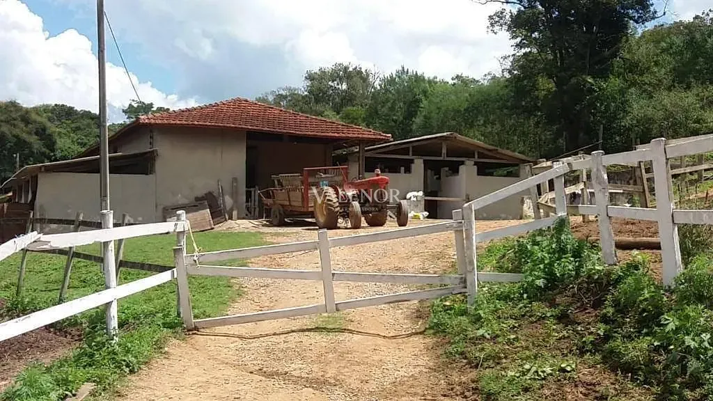 Fazenda, 17 hectares - Foto 7