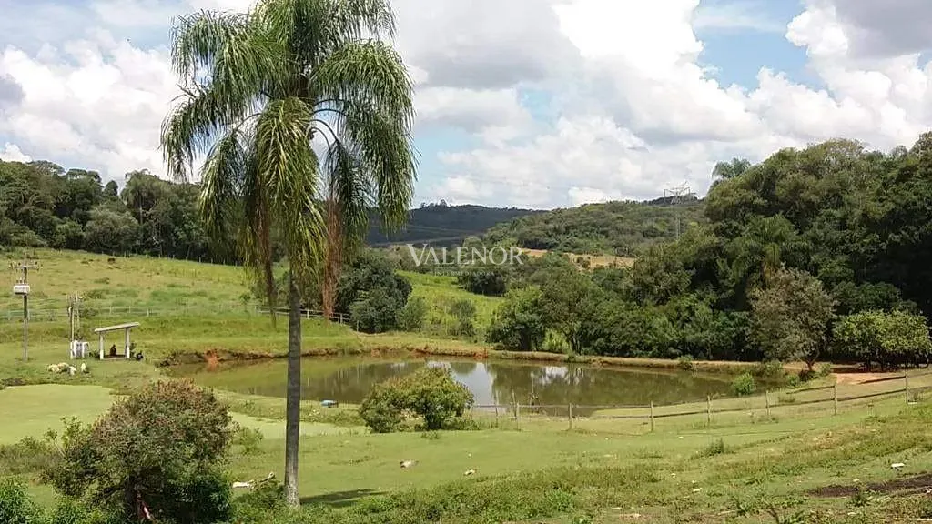 Fazenda, 17 hectares - Foto 42