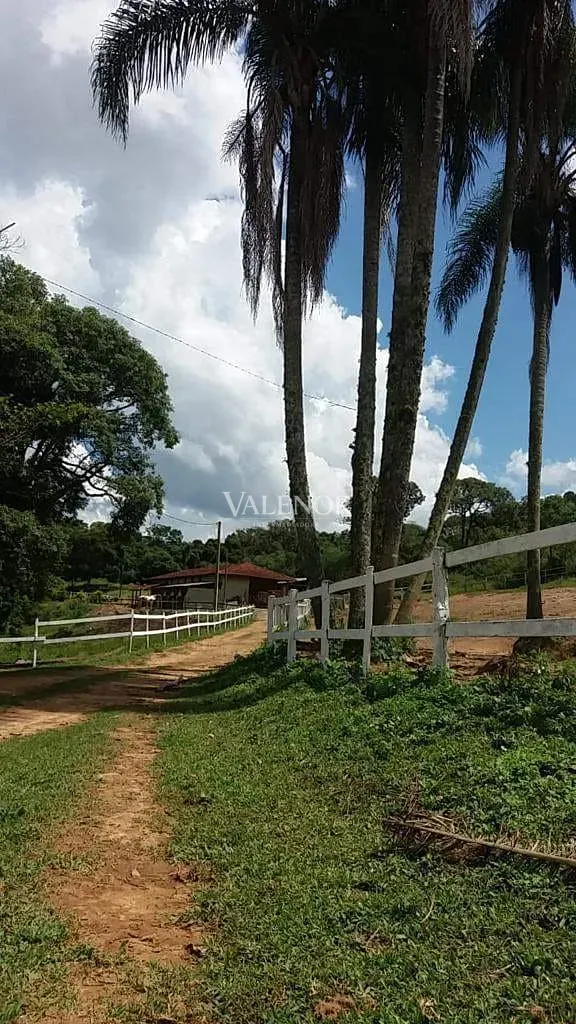 Fazenda, 17 hectares - Foto 10