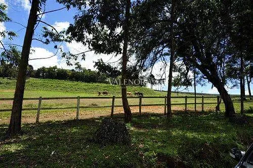 Fazenda, 17 hectares - Foto 24