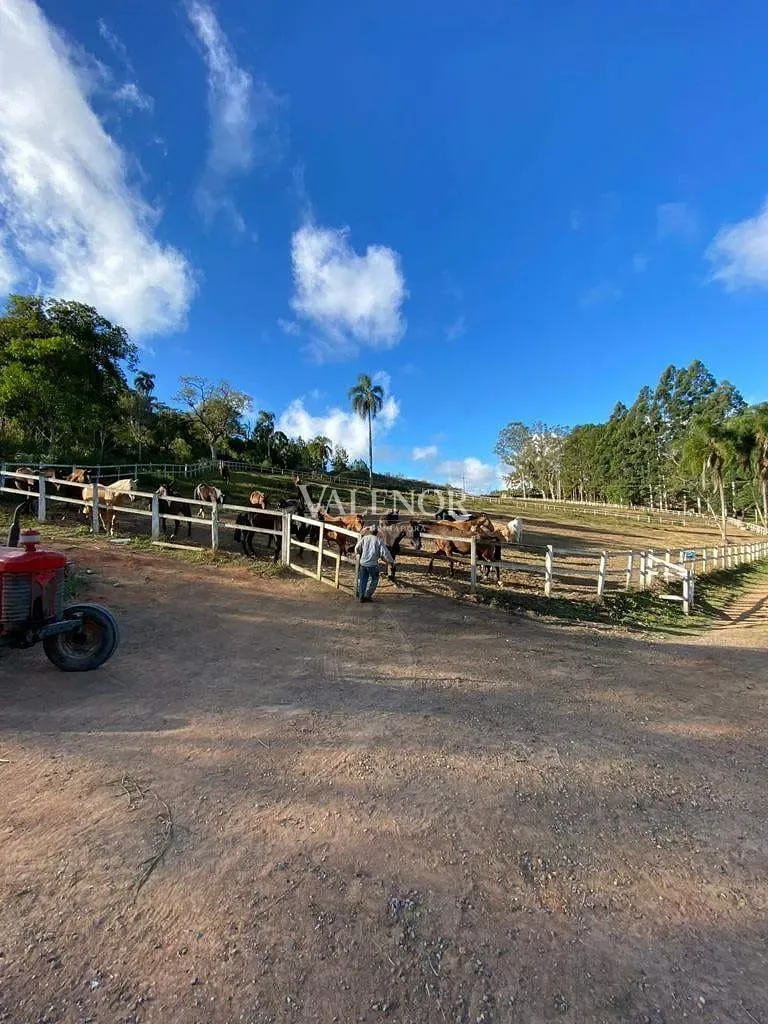 Fazenda, 17 hectares - Foto 19