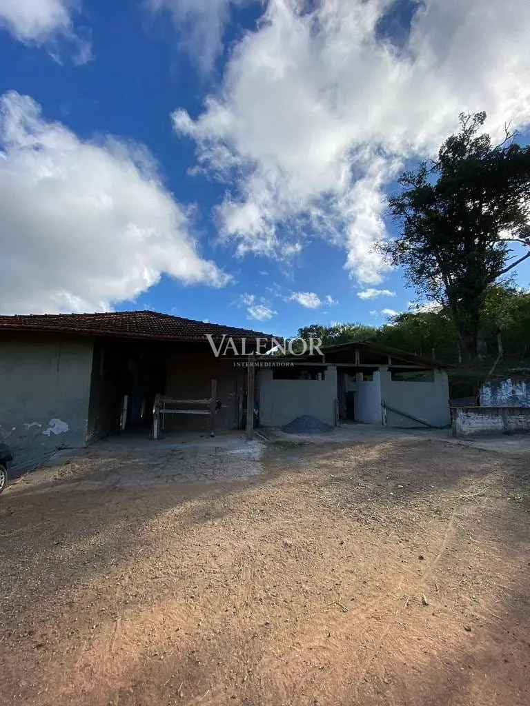 Fazenda, 17 hectares - Foto 9