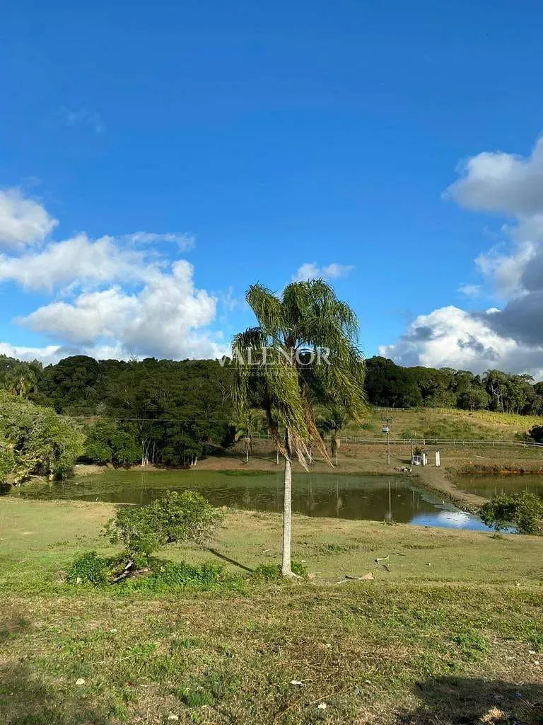 Fazenda, 17 hectares - Foto 44