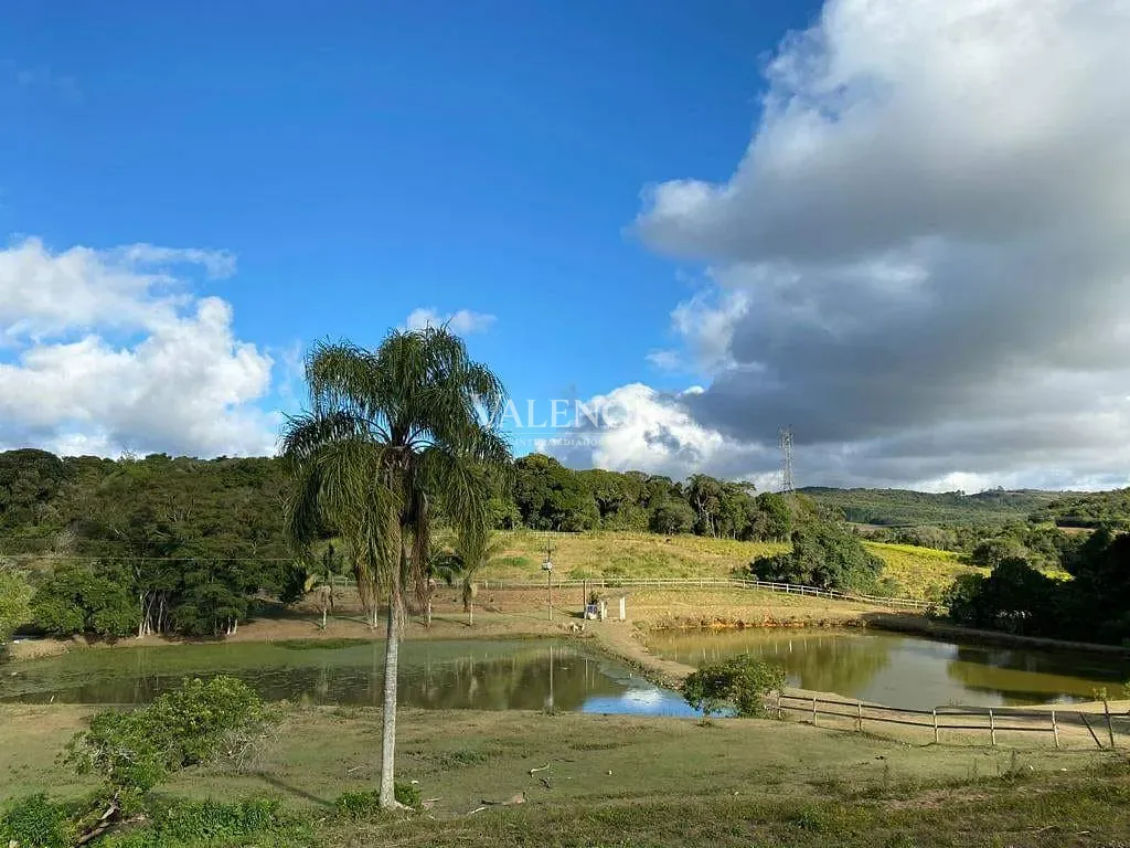 Fazenda, 17 hectares - Foto 45