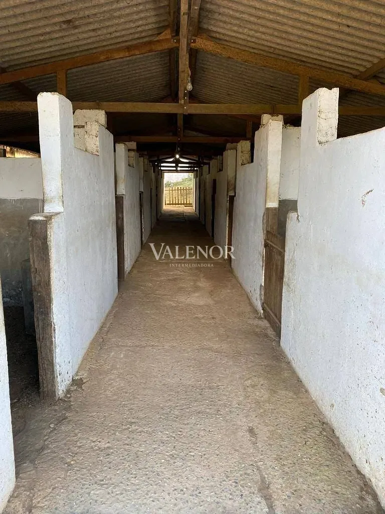Fazenda, 17 hectares - Foto 16
