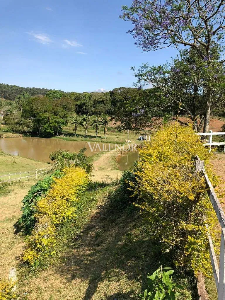 Fazenda, 17 hectares - Foto 35