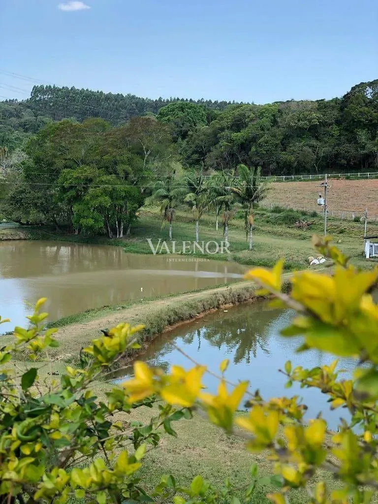 Fazenda, 17 hectares - Foto 46