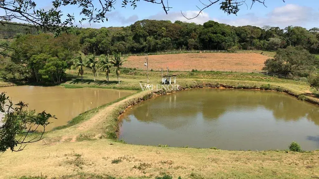 Fazenda, 17 hectares - Foto 47