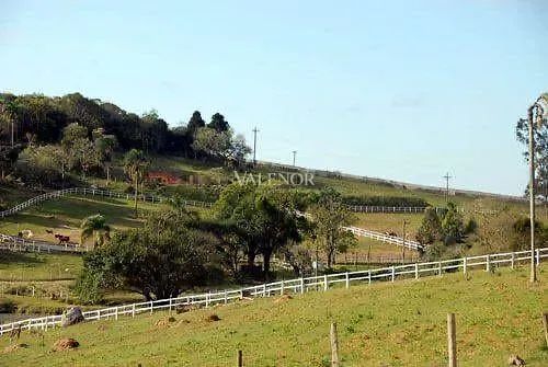 Fazenda, 17 hectares - Foto 33