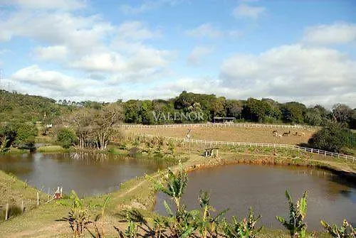 Fazenda, 17 hectares - Foto 48