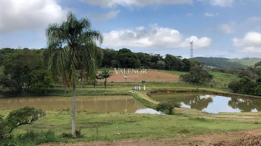 Fazenda, 17 hectares - Foto 49