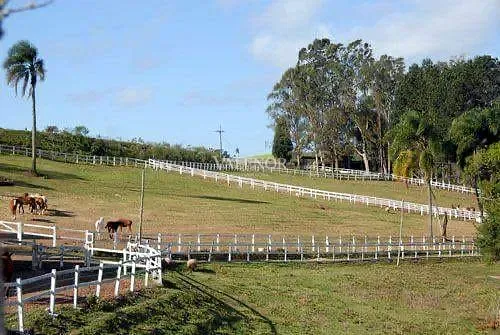 Fazenda, 17 hectares - Foto 29