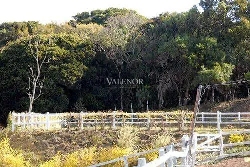 Fazenda, 17 hectares - Foto 31