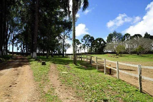 Fazenda, 17 hectares - Foto 32