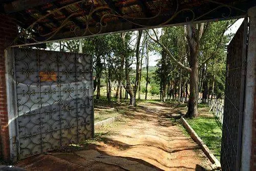 Fazenda, 17 hectares - Foto 15