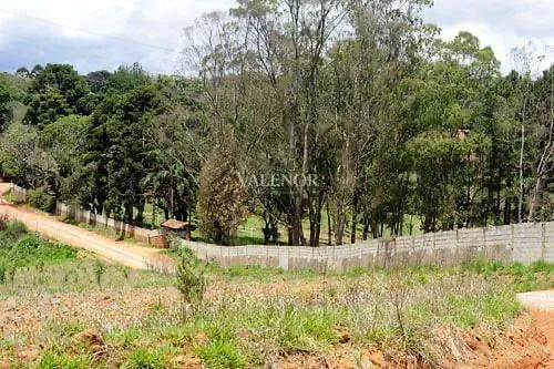 Fazenda, 17 hectares - Foto 34