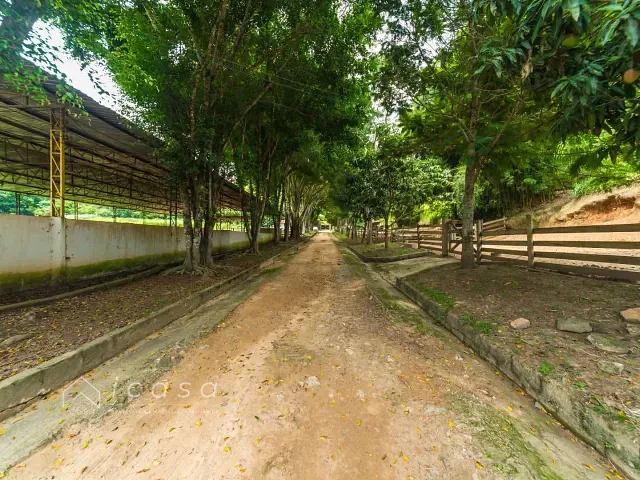 Haras com 1331000m² 7 quartos e 5 banheiros, à venda, no bairro Freguesia da Escada em Guararema