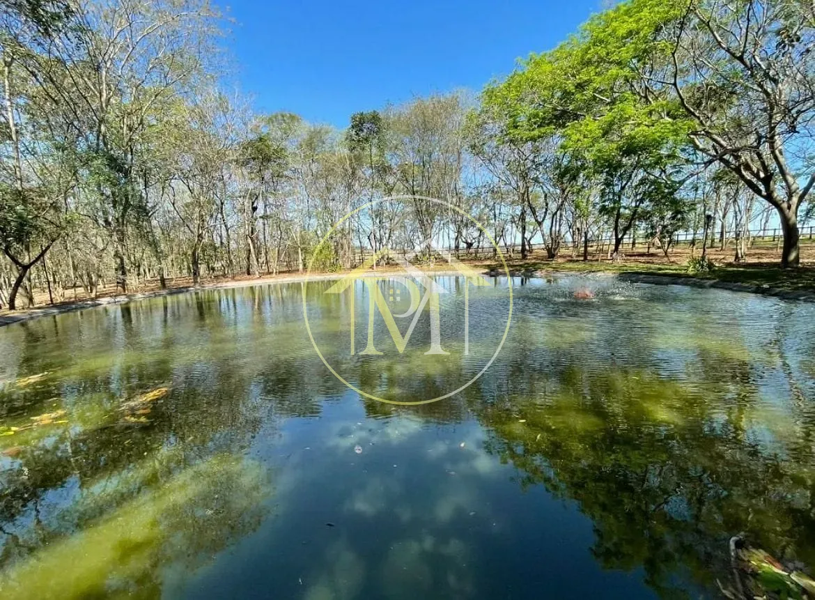 Fazenda, 44 hectares - Foto 12