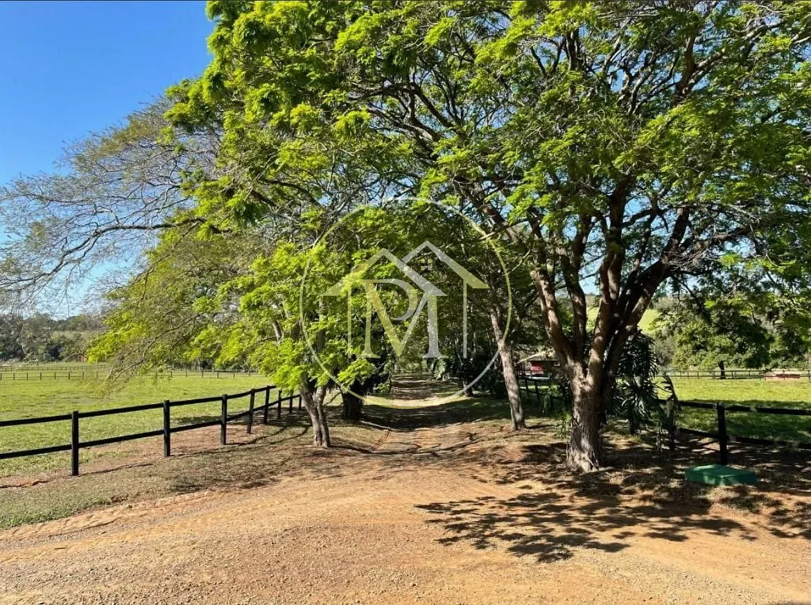 Fazenda, 44 hectares - Foto 11